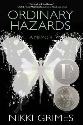 Dangers ordinaires : Un mémoire - Ordinary Hazards: A Memoir