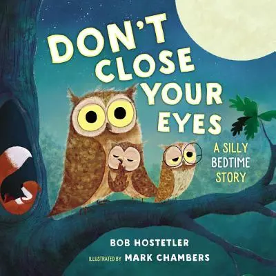 Ne fermez pas les yeux : une histoire à dormir debout - Don't Close Your Eyes: A Silly Bedtime Story