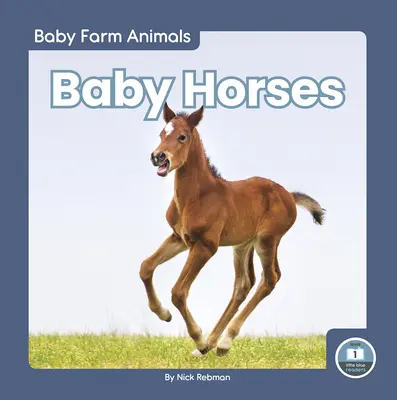 Bébés chevaux - Baby Horses