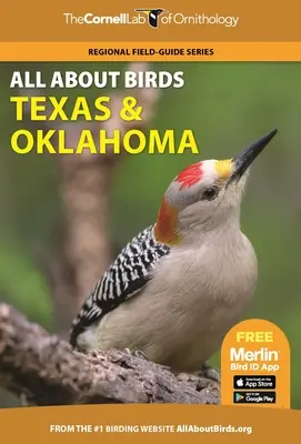 Tout sur les oiseaux Texas et Oklahoma - All about Birds Texas and Oklahoma