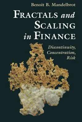 Fractales et échelles en finance : Discontinuité, concentration, risque. Selecta Volume E - Fractals and Scaling in Finance: Discontinuity, Concentration, Risk. Selecta Volume E