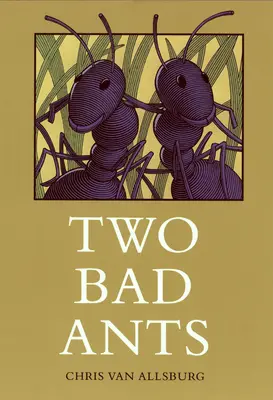 Deux mauvaises fourmis - Two Bad Ants