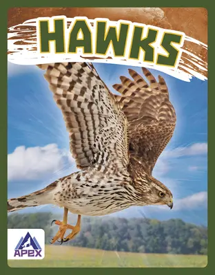 Les faucons - Hawks