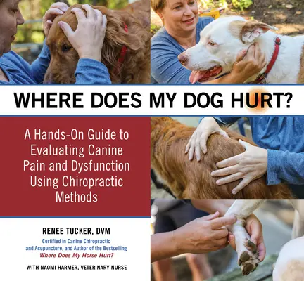 Où mon chien a-t-il mal ? Trouver la source des problèmes de comportement ou de douleur : un guide pratique - Where Does My Dog Hurt: Find the Source of Behavioral Issues or Pain: A Hands-On Guide