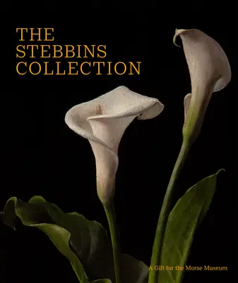 La collection Stebbins : Un cadeau pour le musée Morse - The Stebbins Collection: A Gift for the Morse Museum