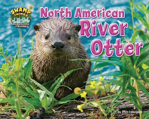 La loutre de rivière d'Amérique du Nord - North American River Otter