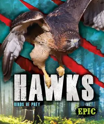 Faucons : oiseaux de proie - Hawks: Birds of Prey