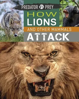 Predator Vs Prey : Comment les lions et autres mammifères attaquent ! - Predator Vs Prey: How Lions and Other Mammals Attack!