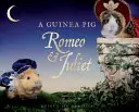 Cochon d'Inde Roméo et Juliette - Guinea Pig Romeo & Juliet