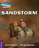Bandeau violet Sandstorm - Sandstorm Purple Band