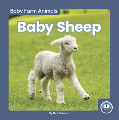 Bébés moutons - Baby Sheep