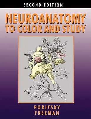 Neuroanatomie à colorier et à étudier - Neuroanatomy to Color and Study