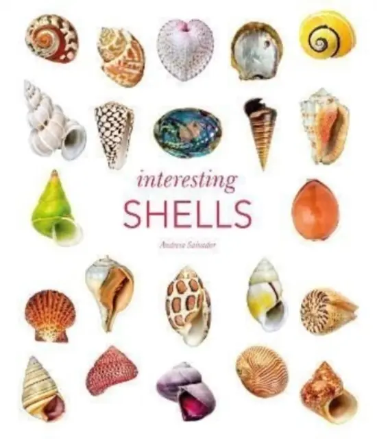 Coquillages intéressants - Interesting Shells