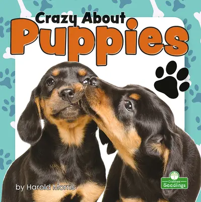 Fou de chiots - Crazy about Puppies