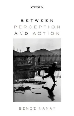 Entre perception et action - Between Perception and Action