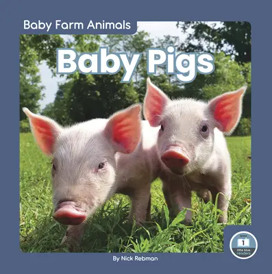 Bébés cochons - Baby Pigs