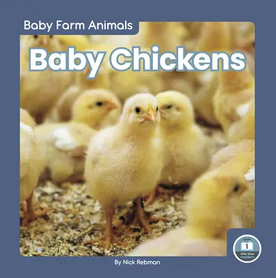 Bébés poulets - Baby Chickens