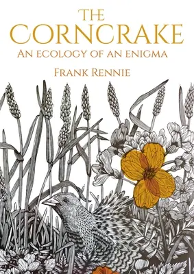 Le râle des genêts : L'écologie d'une énigme - The Corncrake: An Ecology of an Enigma