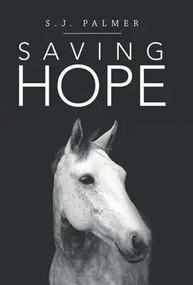 Sauver l'espoir - Saving Hope