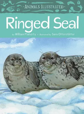 Animaux illustrés : Le phoque annelé - Animals Illustrated: Ringed Seal