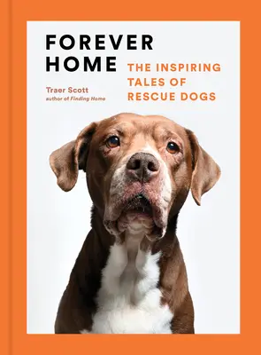 Forever Home : Les histoires inspirantes des chiens de sauvetage - Forever Home: The Inspiring Tales of Rescue Dogs