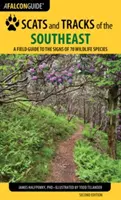 Scats and Tracks of the Southeast : Guide de terrain sur les signes de 70 espèces sauvages, deuxième édition - Scats and Tracks of the Southeast: A Field Guide to the Signs of 70 Wildlife Species, Second Edition