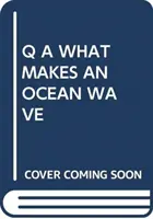 Q A QU'EST-CE QUI FAIT UNE VAGUE DANS L'OCÉAN ? - Q A WHAT MAKES AN OCEAN WAVE