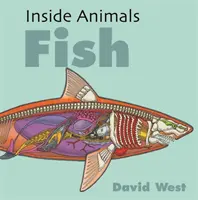 A l'intérieur des animaux : Poissons - Inside Animals: Fish