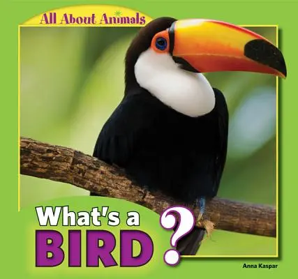 Qu'est-ce qu'un oiseau ? - What's a Bird?