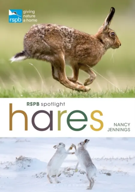 Lièvres Spotlight de la RSPB - RSPB Spotlight Hares