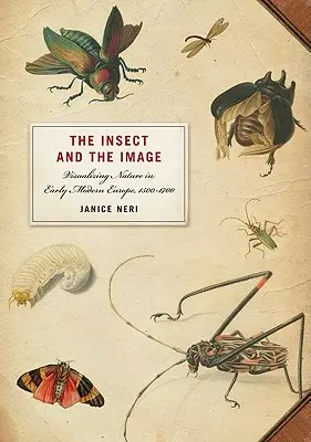 L'insecte et l'image : La visualisation de la nature dans l'Europe du début de la modernité, 1500-1700 - The Insect and the Image: Visualizing Nature in Early Modern Europe, 1500-1700