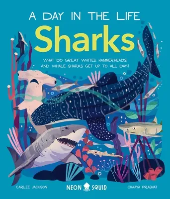 Les requins (une journée dans la vie) : Que font les grands blancs, les requins-marteaux et les requins-baleines toute la journée ? - Sharks (a Day in the Life): What Do Great Whites, Hammerheads, and Whale Sharks Get Up to All Day?