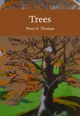 Arbres - Trees