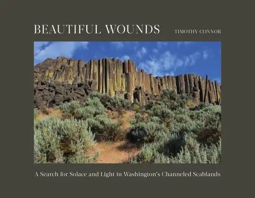 De belles blessures : À la recherche du réconfort et de la lumière dans les gales canalisées de l'État de Washington - Beautiful Wounds: A Search for Solace and Light in Washington's Channeled Scablands