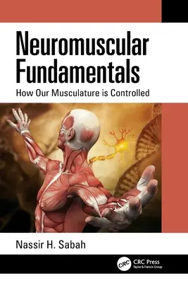 Les fondements neuromusculaires : Comment notre musculature est contrôlée - Neuromuscular Fundamentals: How Our Musculature is Controlled