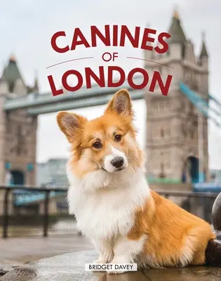 Canines of London (Photographie de chiens, cadeau pour les amoureux des chiens) - Canines of London (Dog Photography, Dog Lovers Gift)