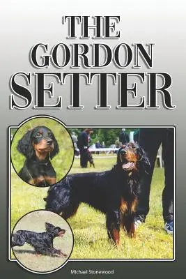 Le Setter Gordon : Un guide complet et exhaustif pour les propriétaires : L'achat, la possession, la santé, le toilettage, le dressage, l'obéissance, la compréhension et l'éducation. - The Gordon Setter: A Complete and Comprehensive Owners Guide to: Buying, Owning, Health, Grooming, Training, Obedience, Understanding and