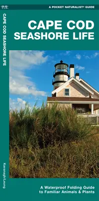 Cape Cod Seashore Life - Guide de poche imperméable aux animaux et plantes familiers - Cape Cod Seashore Life - A Waterproof Folding Guide to Familiar Animals & Plants