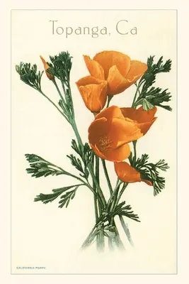 Journal d'époque Coquelicots, Topanga, Californie - The Vintage Journal Poppies, Topanga, California