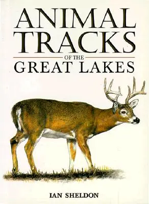 Traces d'animaux des Grands Lacs - Animal Tracks of the Great Lakes