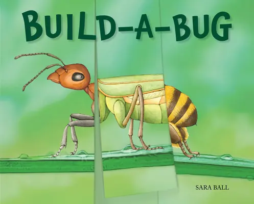 Construire un insecte - Build-A-Bug