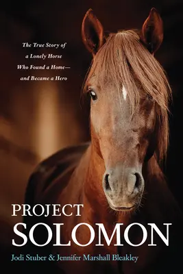 Le Projet Salomon : L'histoire vraie d'un cheval solitaire qui a trouvé un foyer et est devenu un héros - Project Solomon: The True Story of a Lonely Horse Who Found a Home--And Became a Hero