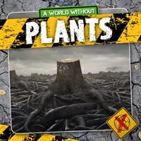 Plantes - Plants