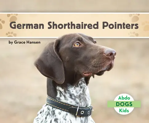 Chien d'arrêt allemand à poil court - German Shorthaired Pointers