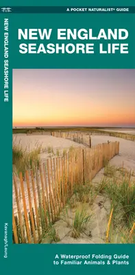 La vie au bord de la mer en Nouvelle-Angleterre - Guide de poche imperméable aux animaux et plantes familiers - New England Seashore Life - A Waterproof Folding Guide to Familiar Animals & Plants