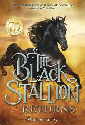 Le retour de l'étalon noir - The Black Stallion Returns