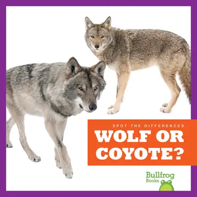 Loup ou coyote ? - Wolf or Coyote?