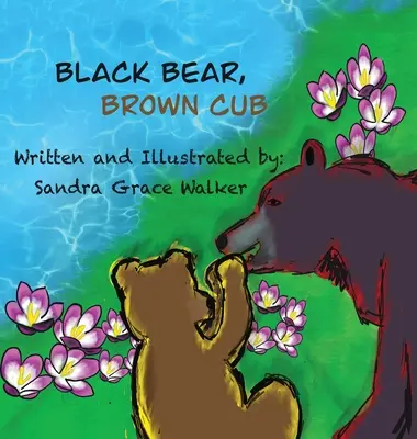 Ours noir, ourson brun - Black Bear, Brown Cub