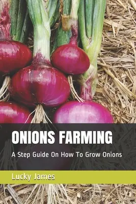 Culture des oignons : Un guide étape par étape sur la façon de cultiver des oignons - Onions Farming: A Step Guide On How To Grow Onions