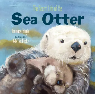 La vie secrète de la loutre de mer - The Secret Life of the Sea Otter